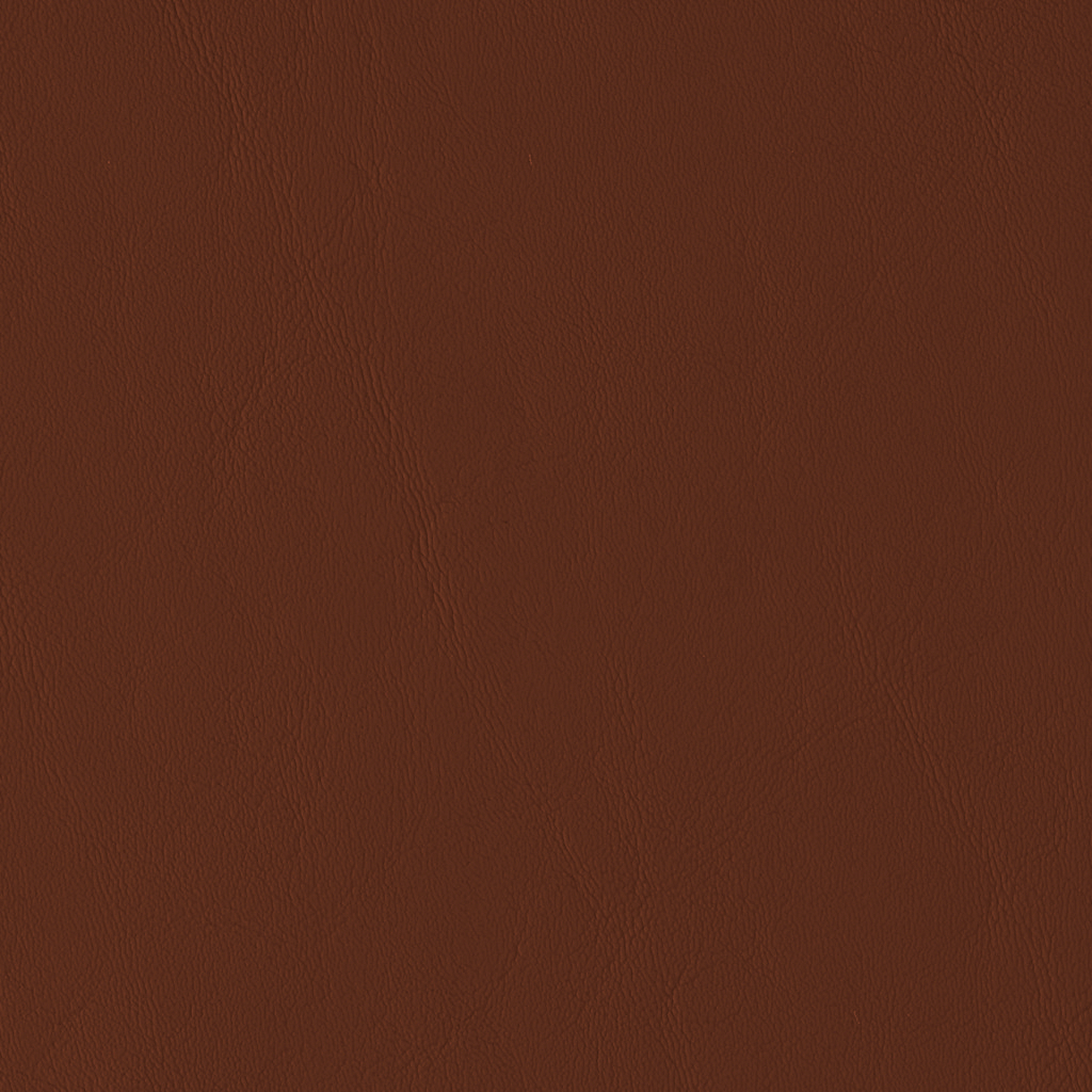 Cinnamon_Atlas_T